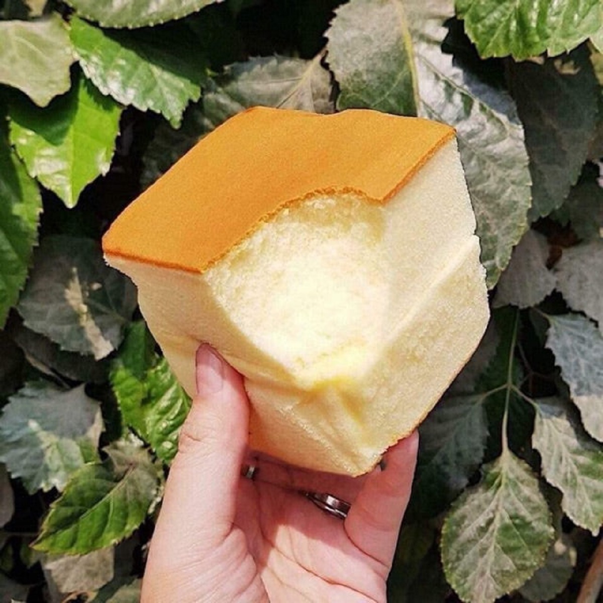 [COMBO 2 CÁI] Bánh Shougong Gông To 120Gram