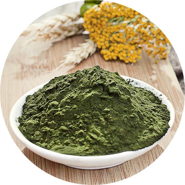 Bột tảo lục Chlorella hữu cơ Terrasoul 170g