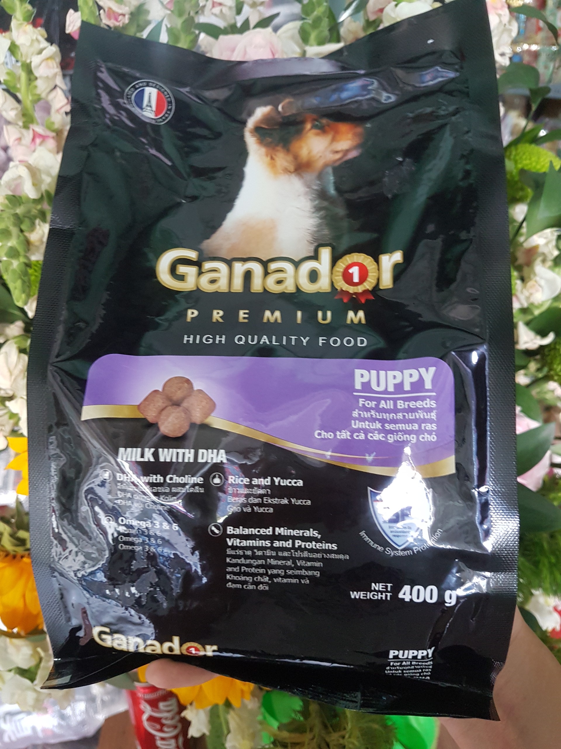 HẠT GANADOR THỨC ĂN CHO CHÓ