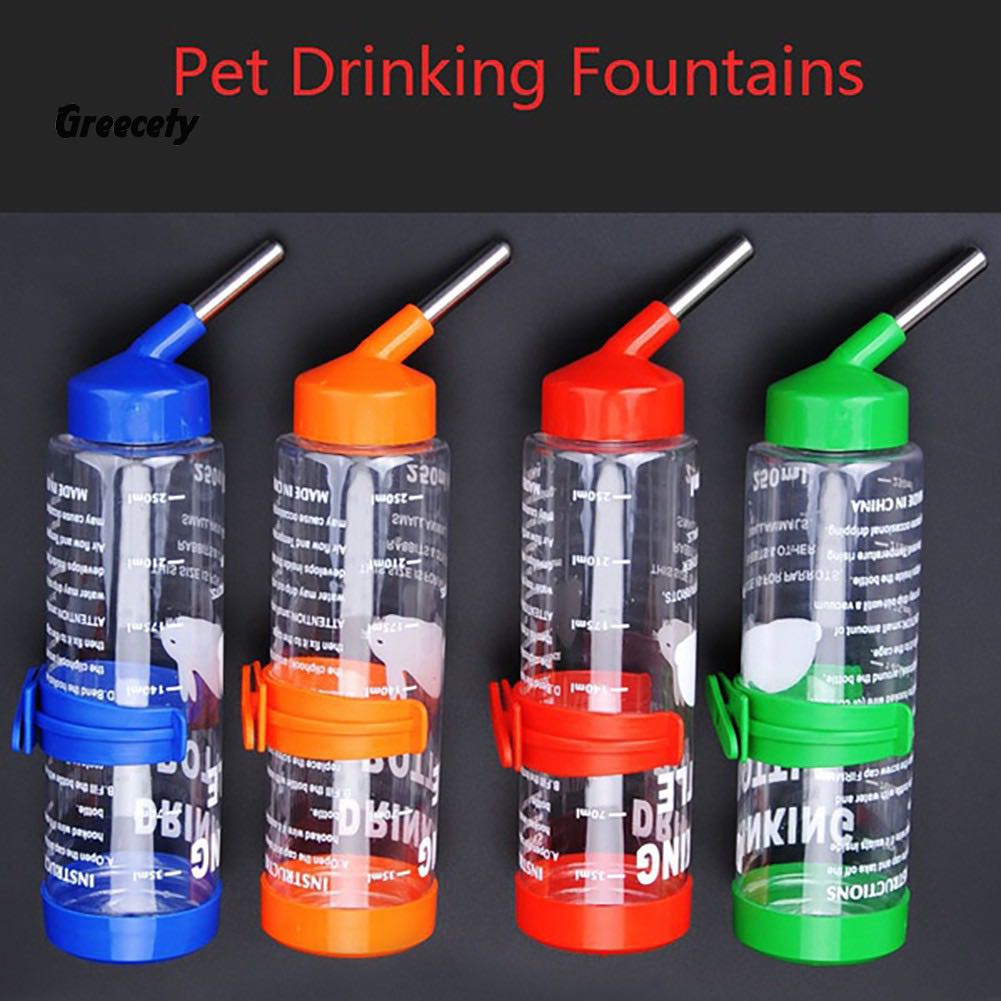 Bình nước bi 250ml cho hamster, vẹt, sóc...