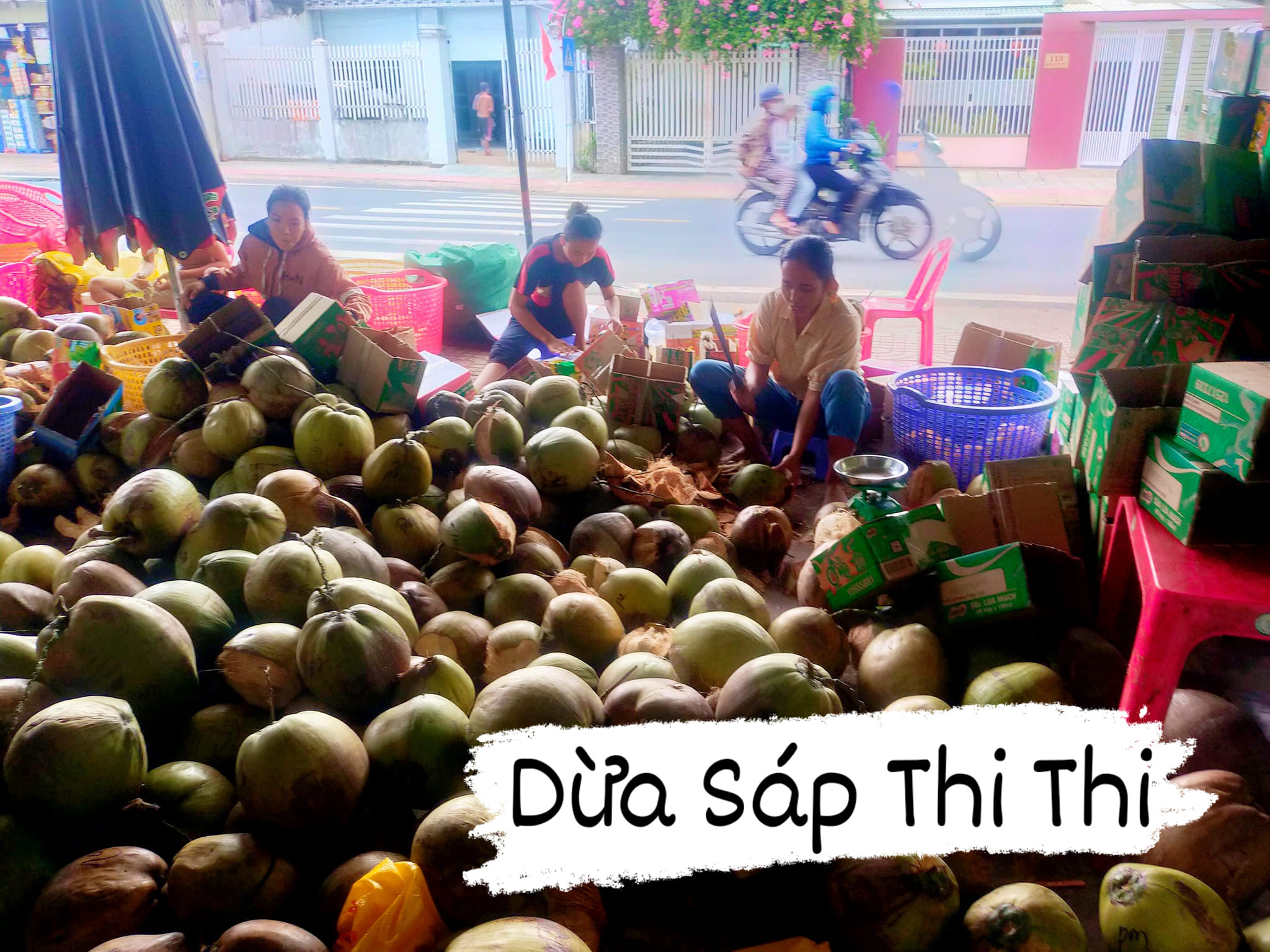 DỪA SÁP LOẠI 1 ĐẶC RUỘT (Trái 800gr-1Kg)