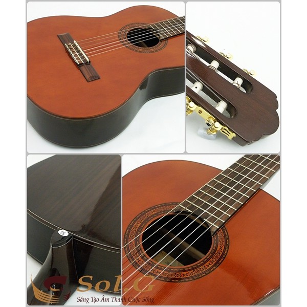 Guitar Classic Stagg C548 Nhập Khẩu Bỉ - Phân Phối Sol.G