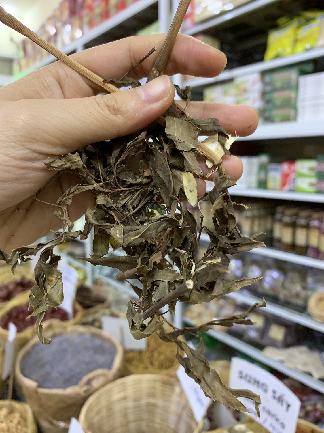 [HCM]ĐINH LĂNG HỮU CƠ 500GRAM Tiệm Thuốc Bắc Sài Gòn