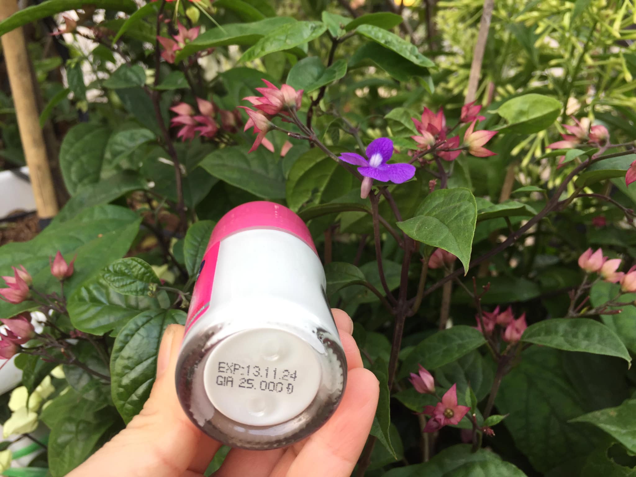 Combo 2 chai lăn nách khử mùi trắng da Relik 25 ml