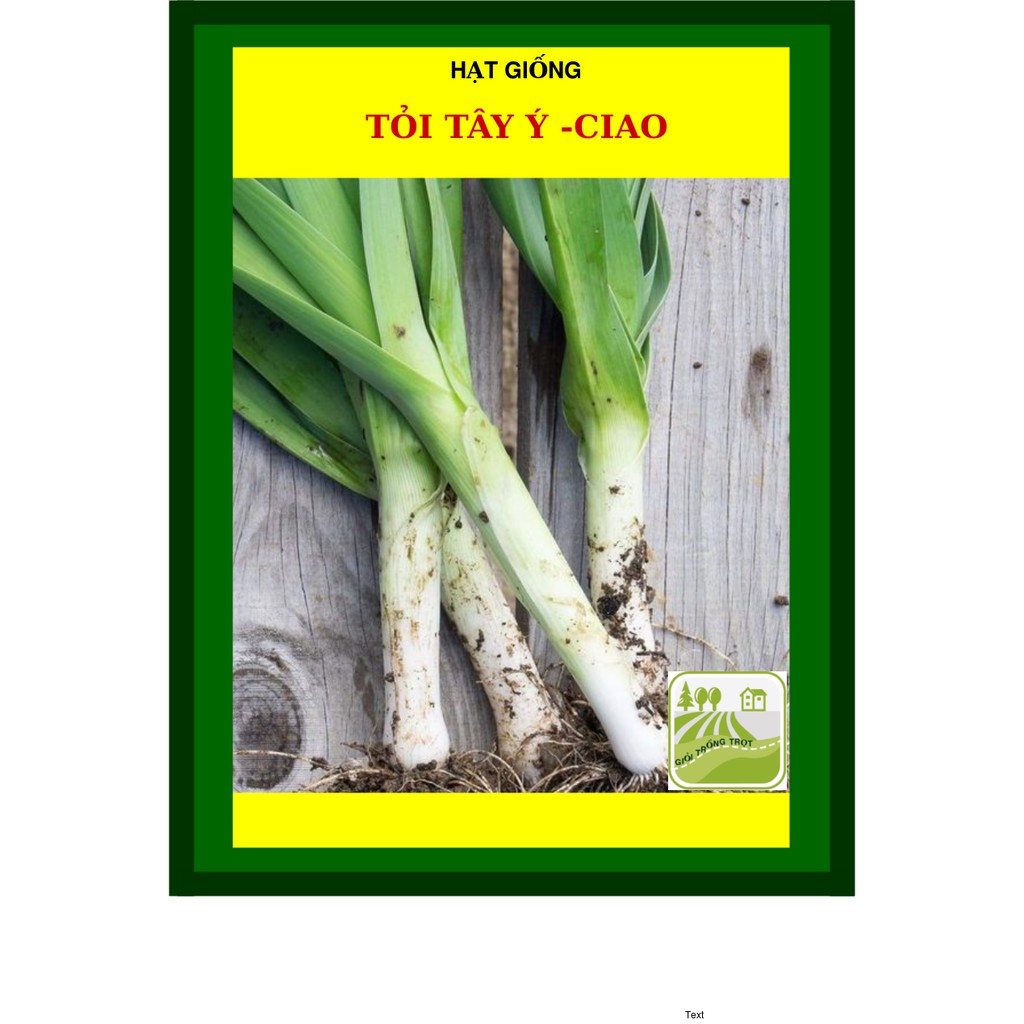 2 Gram - Hạt Giống Tỏi Tây Ý