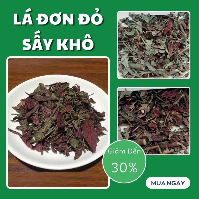 Lá đơn đỏ khô túi nhỏ loại 100g - Thảo Dược Tấn Phát