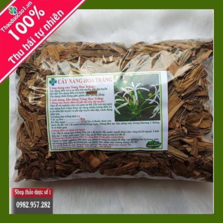 Cây náng hoa trắng Khô 1kg