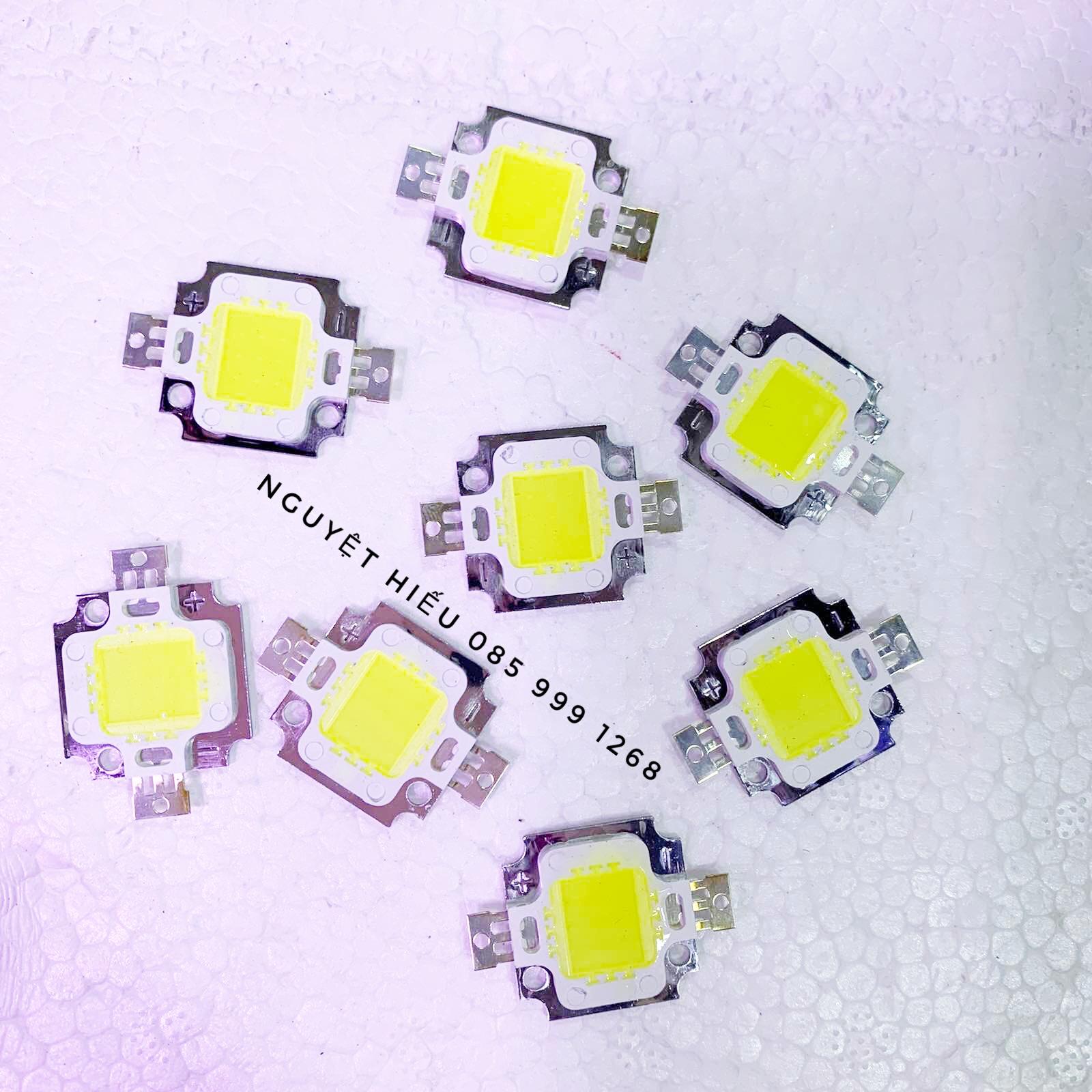 5 nhân chip đèn Led 12v 10w