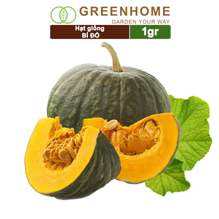 Hạt giống củ, quả các loại, trồng chậu, dễ trồng, chịu nhiệt, trồng quanh năm, năng suất cao