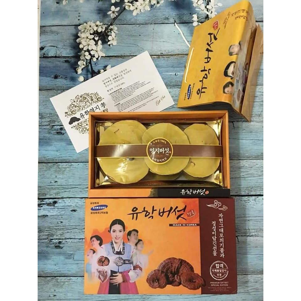 Hộp Nấm Linh Chi Đỏ