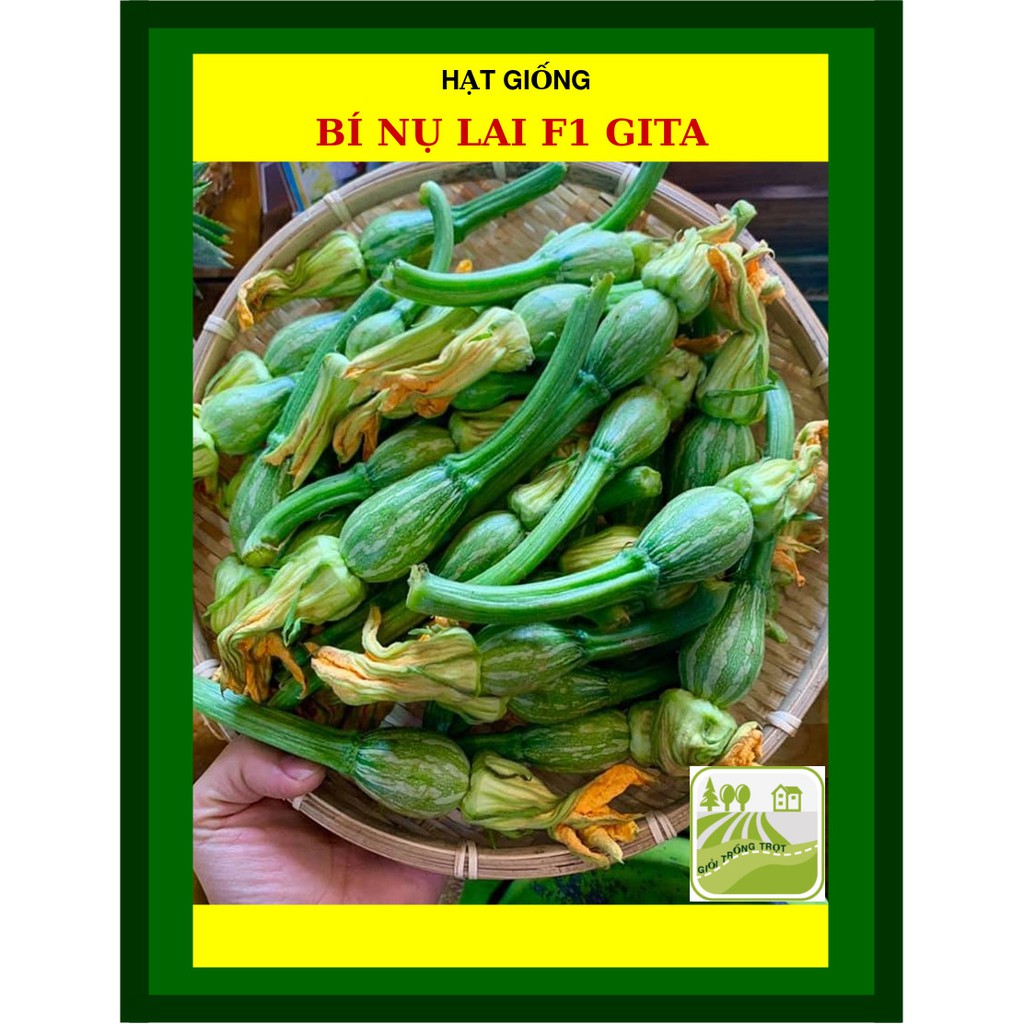 Hạt Giống Bí Nụ Lai F1 GiTa 0.5 Gram