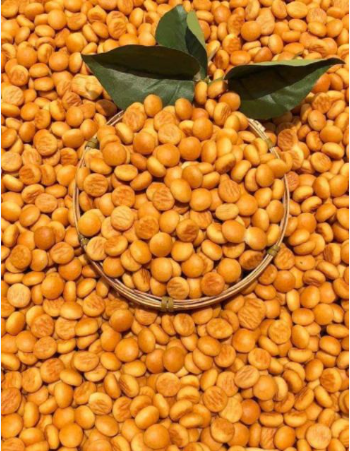 500g Bánh Hạt Ngọc (Bánh Nút) I Multifood