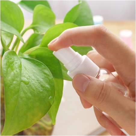 Chai chiết phun sương 50ml , 100ml