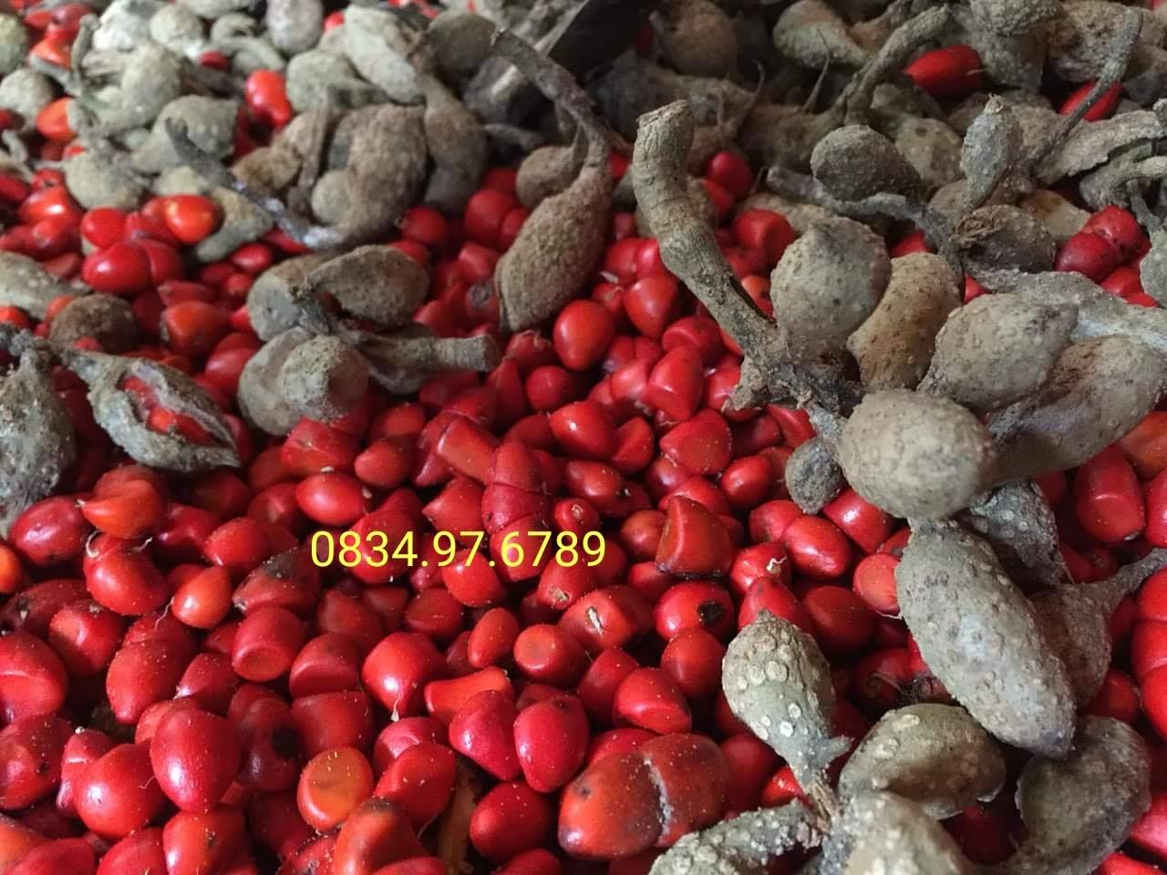 100G HẠT DỔI + 300G HẠT MẮC KHÉN