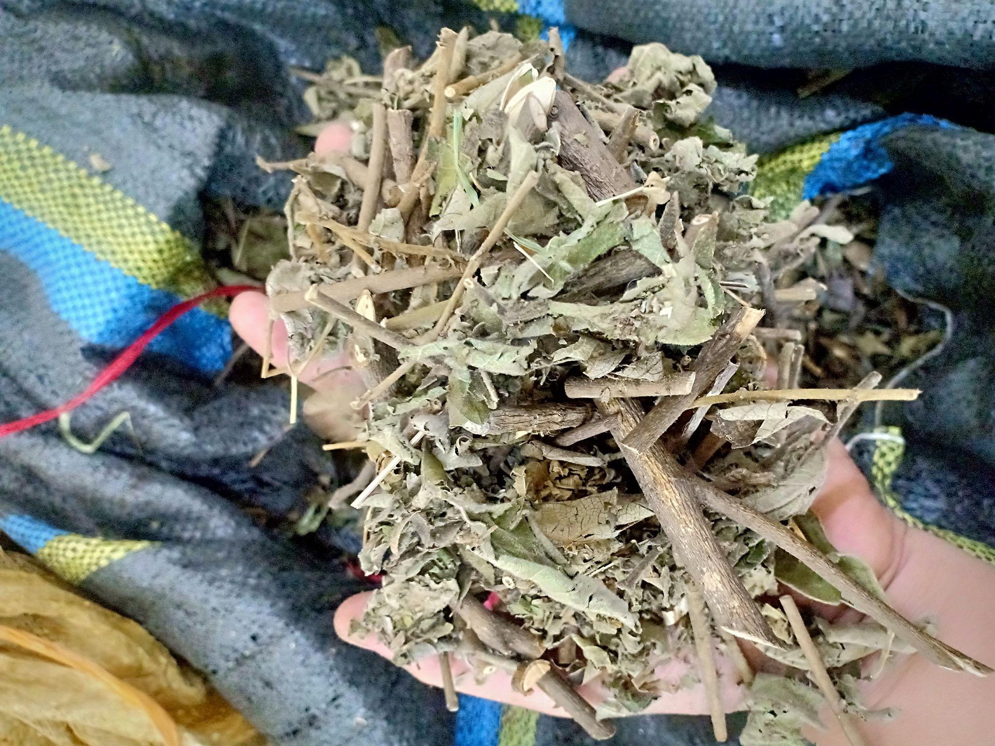 Cây an xoa - HOA MÀU TÍM 1kg