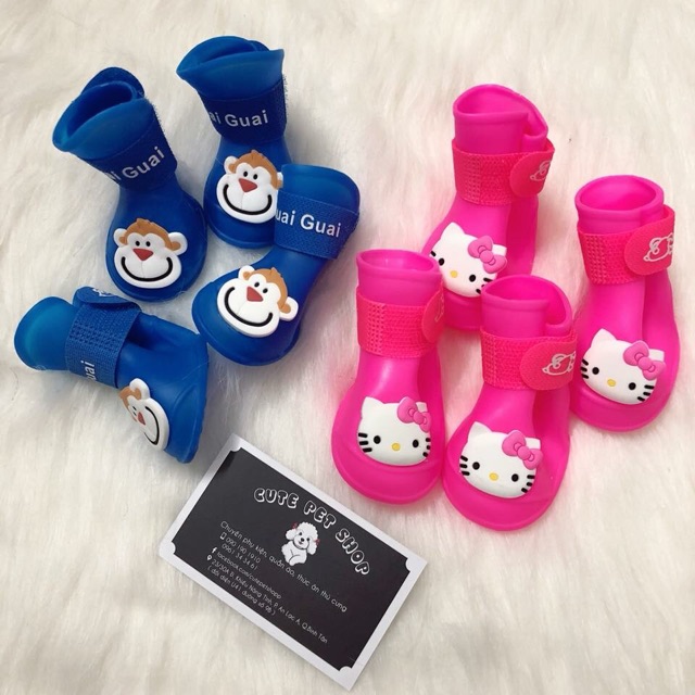 Giày silicone đi nắng, đi mưa cho cún cưng♥️