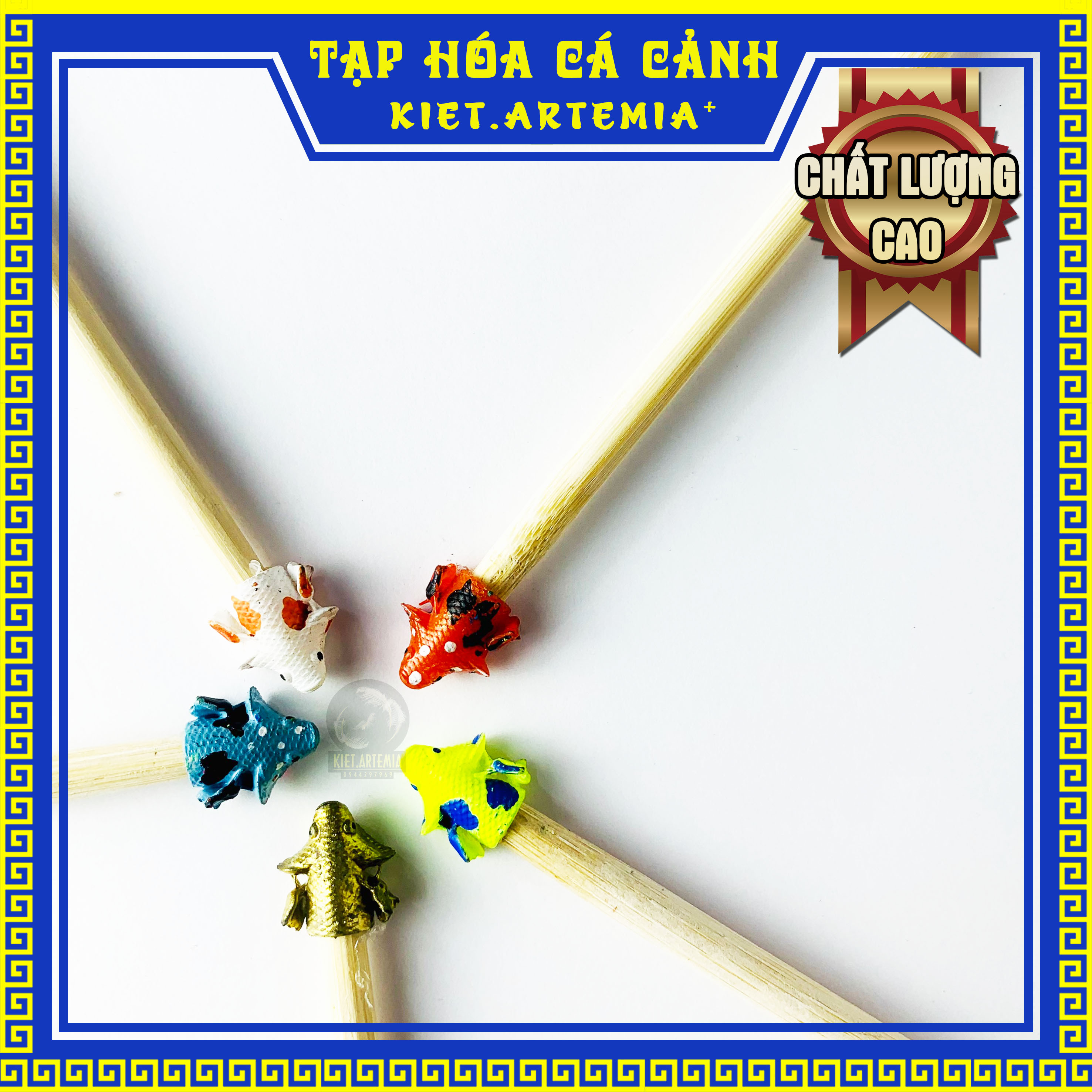 Cây kè cá betta, cây kè cá (màu ngẫu nhiên)