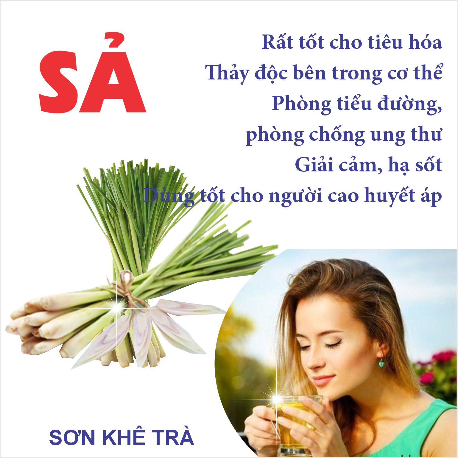 Sả Gừng Chanh giảm cân hiệu quả 10 gói