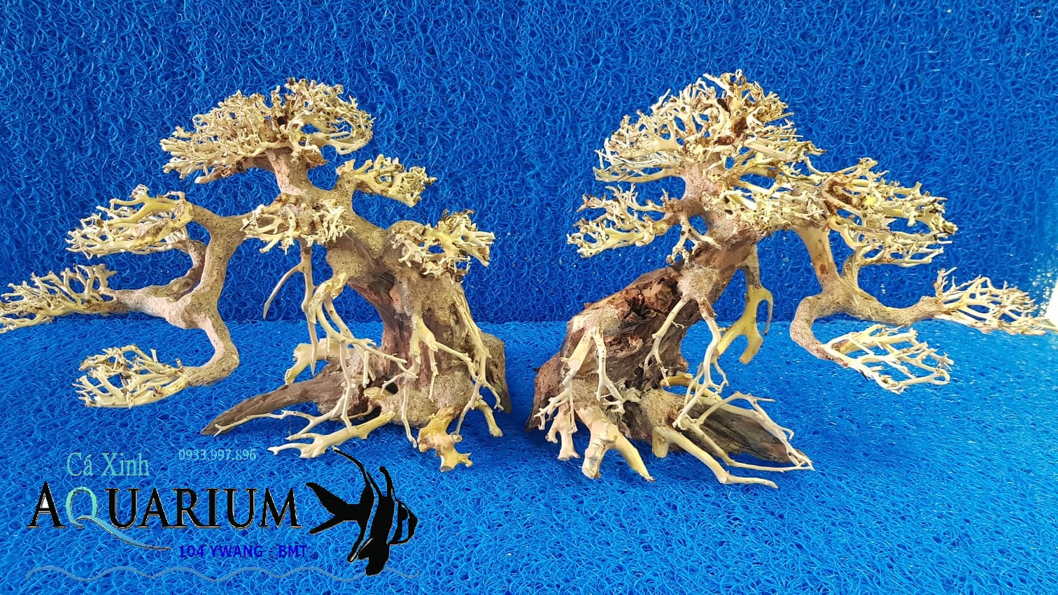 Cây Bonsai cho hồ cá size trung