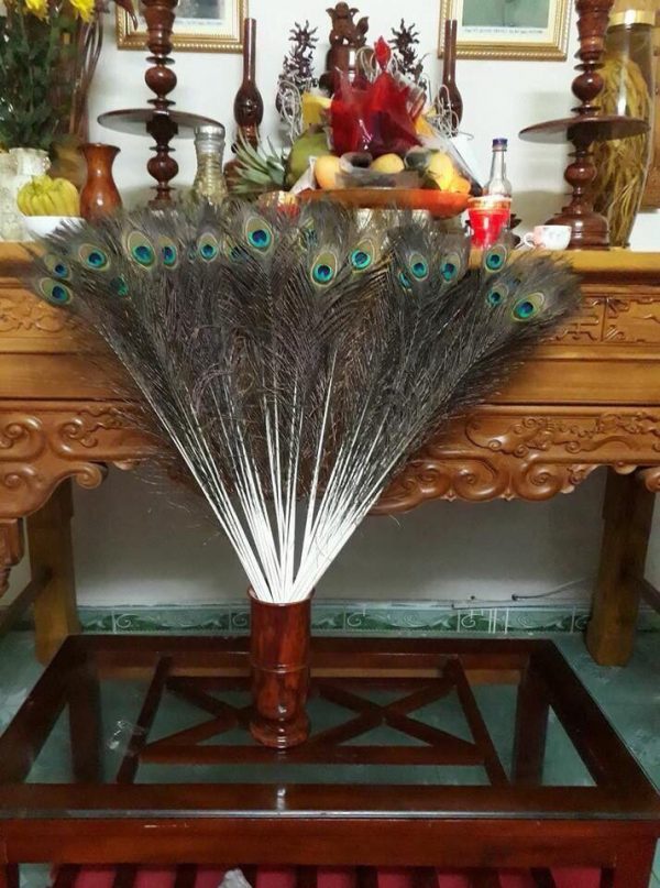 Lông Công Phong Thủy 25cm
