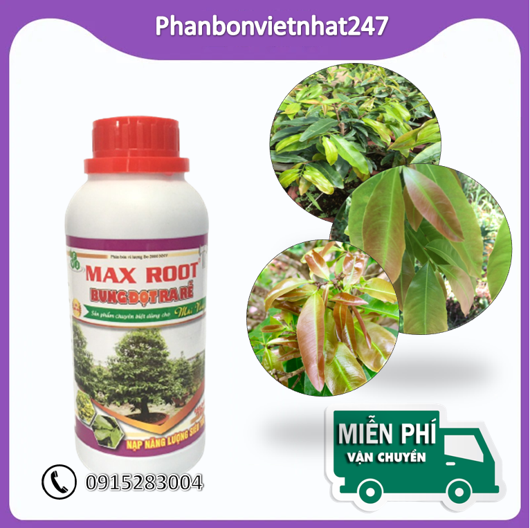 Phân bón Maxroot Bung Đọt Ra Rễ Mai Vàng