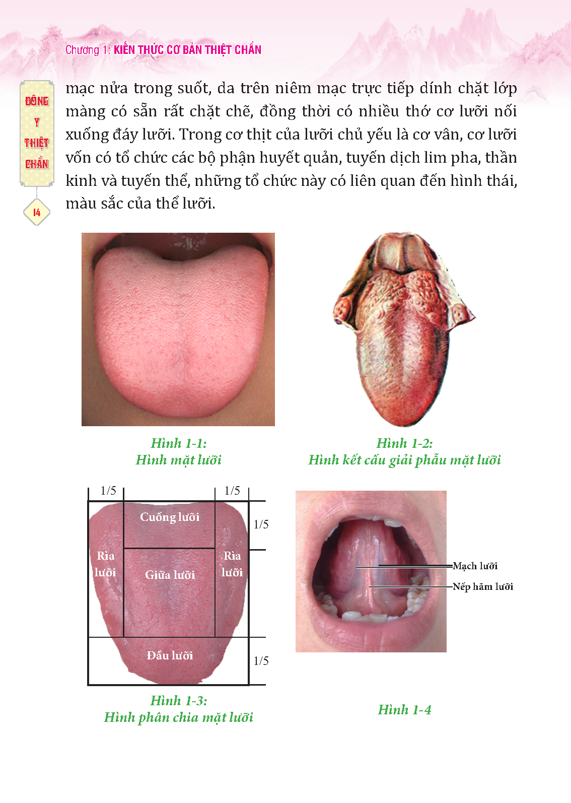 Đông y thiệt chuẩn (MỀM)