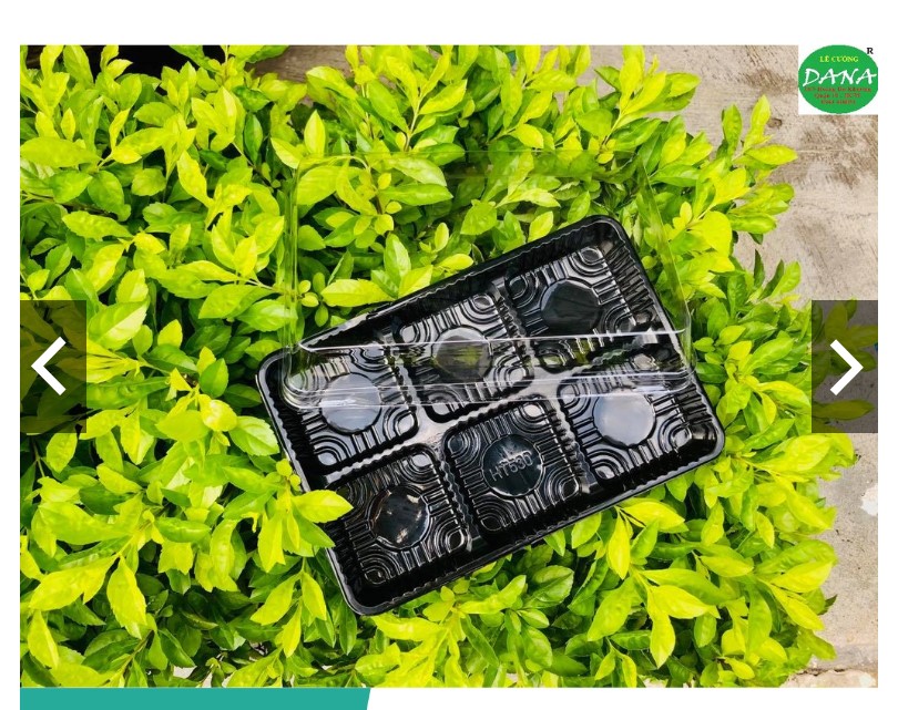 Hộp nhựa 6 ngăn vuông đế đen ht530