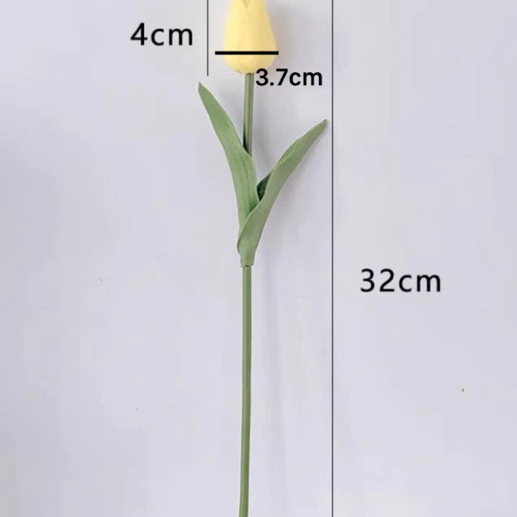 HOA TULIP cao su non mini