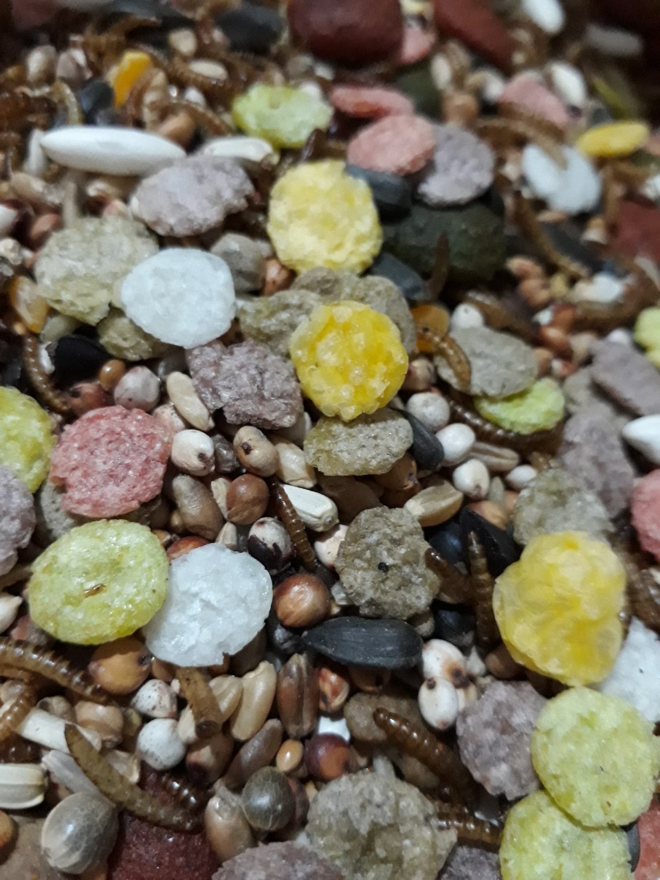 Gói thức ăn hamster tiết kiệm 1 kg