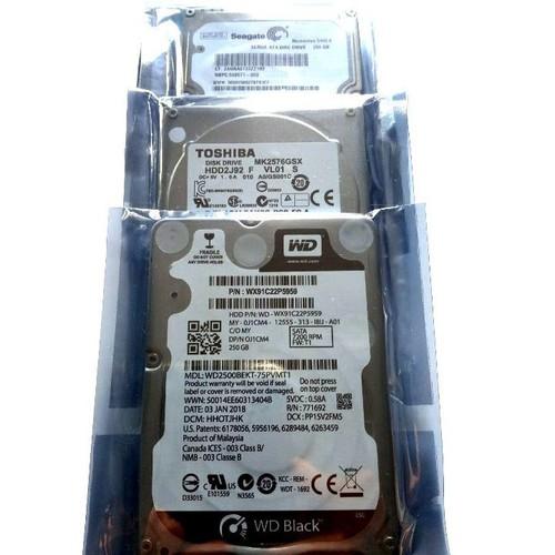 [HCM]Ổ Cứng HDD Laptop 250GB - Bảo hành 12 tháng