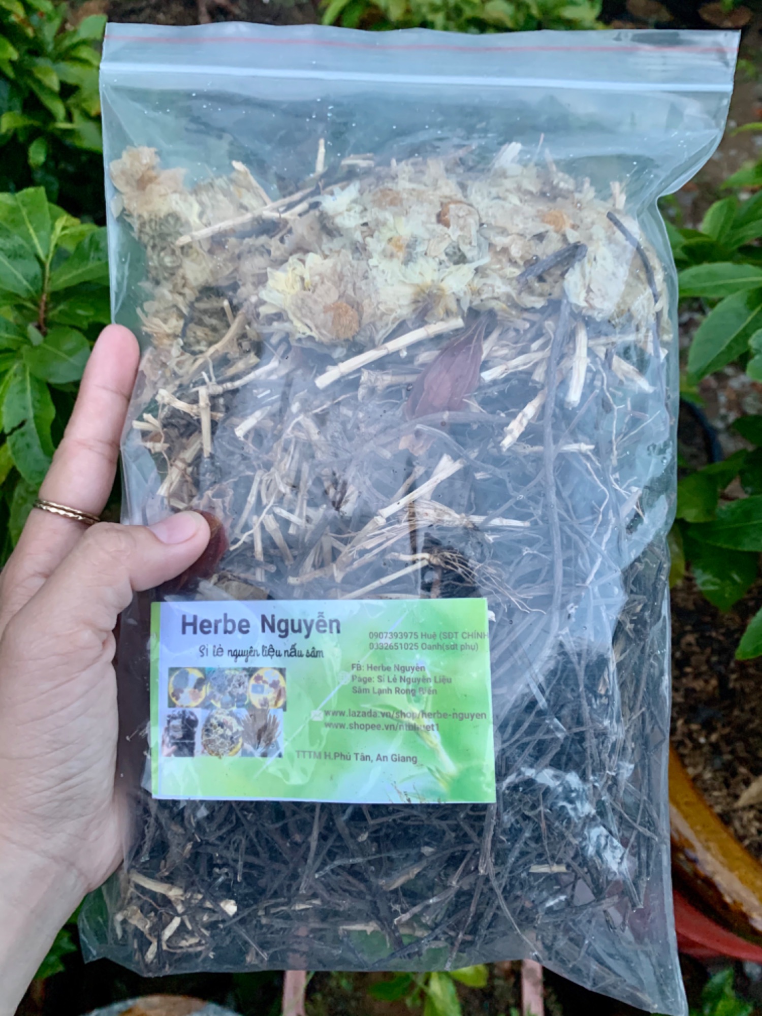 🍀Sâm bông cúc rễ tranh☘️1 phần nấu 10L🍀