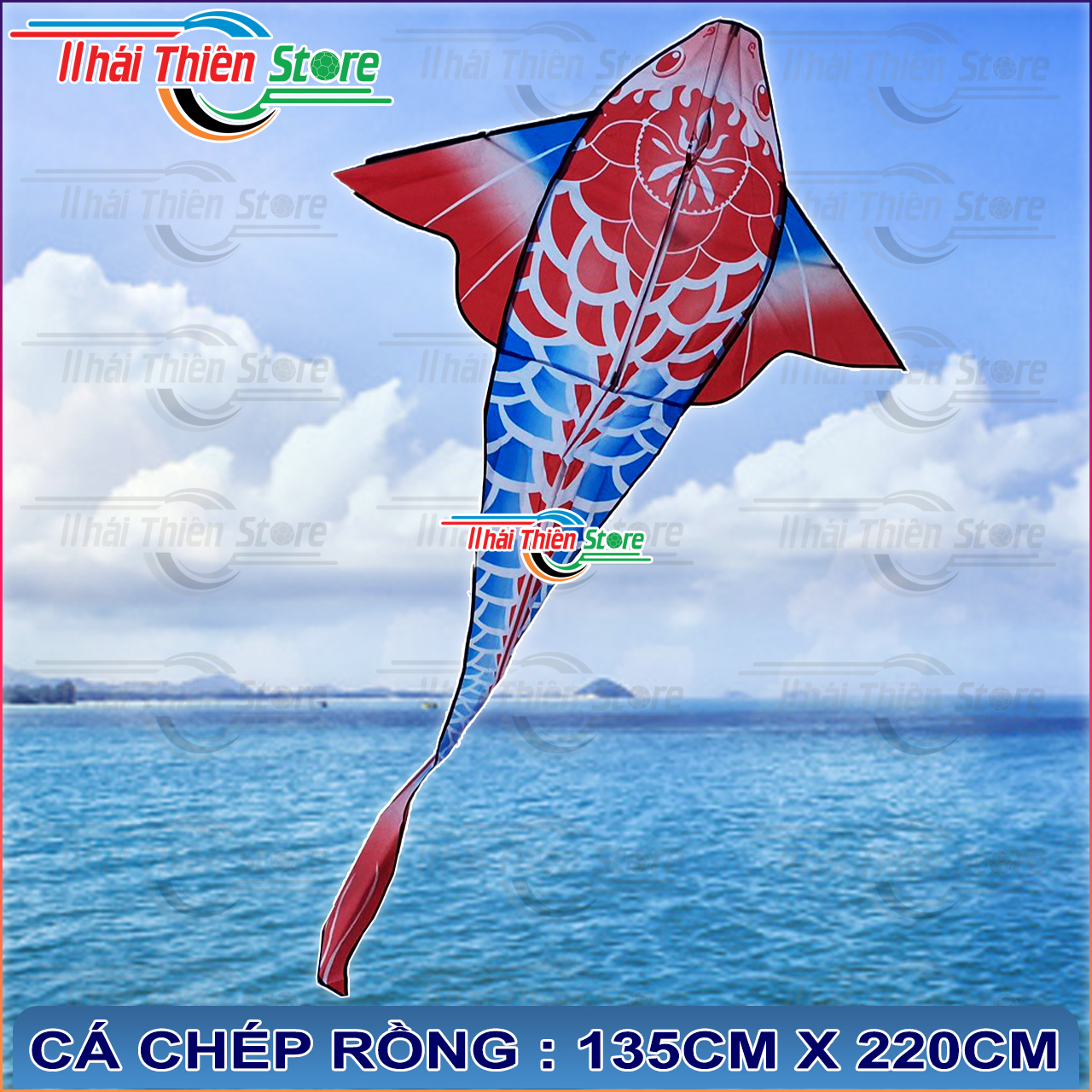 Diều Cá Koi, Chép Rồng Nhiều Màu