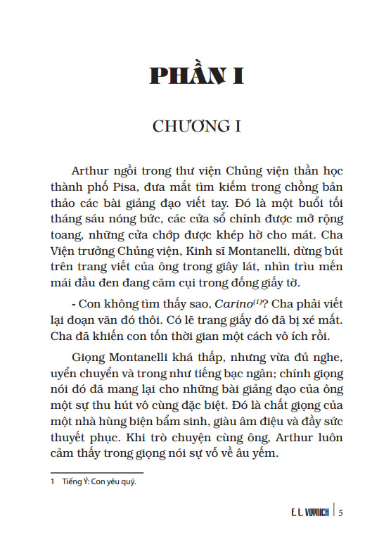 Ruồi Trâu ( Bìa Cứng )