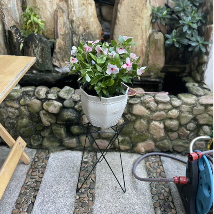 [HCM][GREEN HOUSE] Combo 5 Chậu hoa mây để bàn trắng 17cm