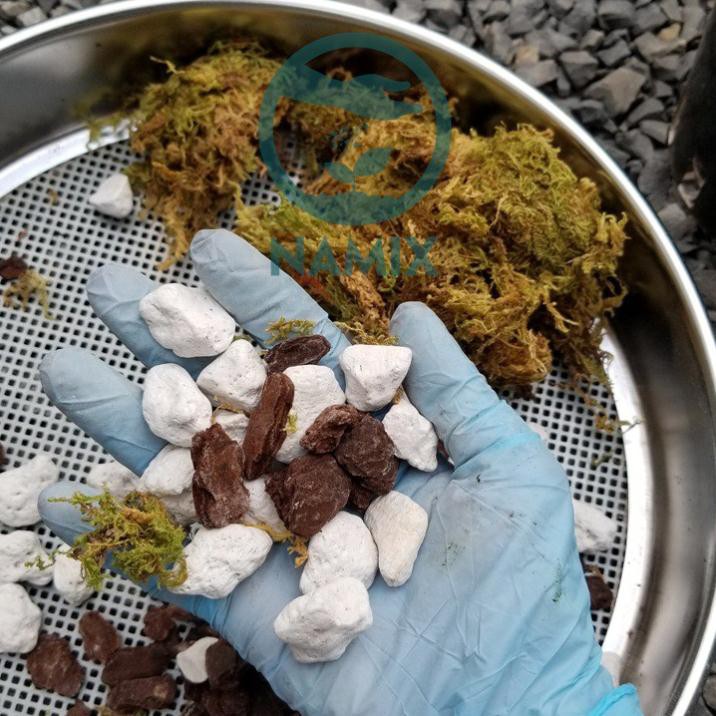 Đá Bọt Pumice Trồng Cây, Hoa Kiểng (2.8kg)