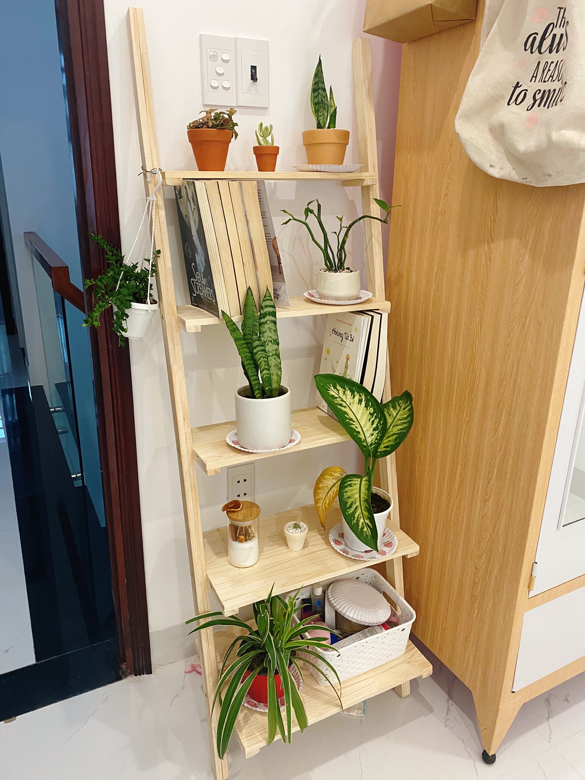 kệ gỗ để đồ bậc thang gỗ tự nhiên decor