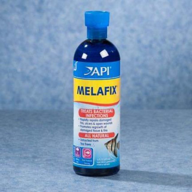 Dung dịch kháng khuẩn Melafix / Pimafix