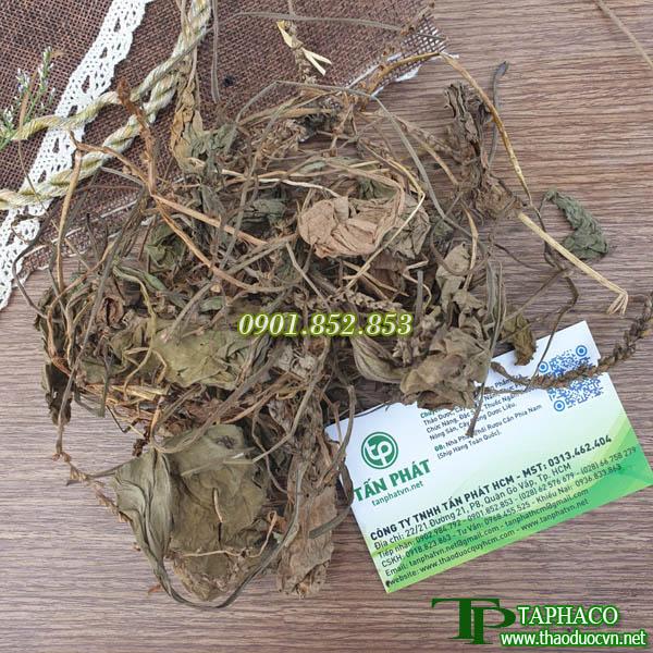 Mã đề cao cấp khô 500g - Hỗ trợ thanh nhiệt và làm mát cơ thể tốt cho khả năng hô hấp