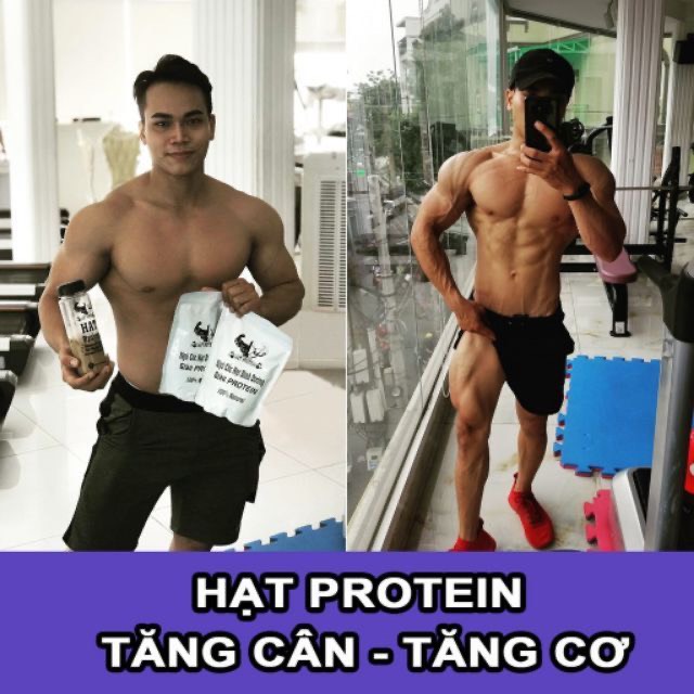 HẠT PROTEIN - SỮA TĂNG CÂN TĂNG CƠ
