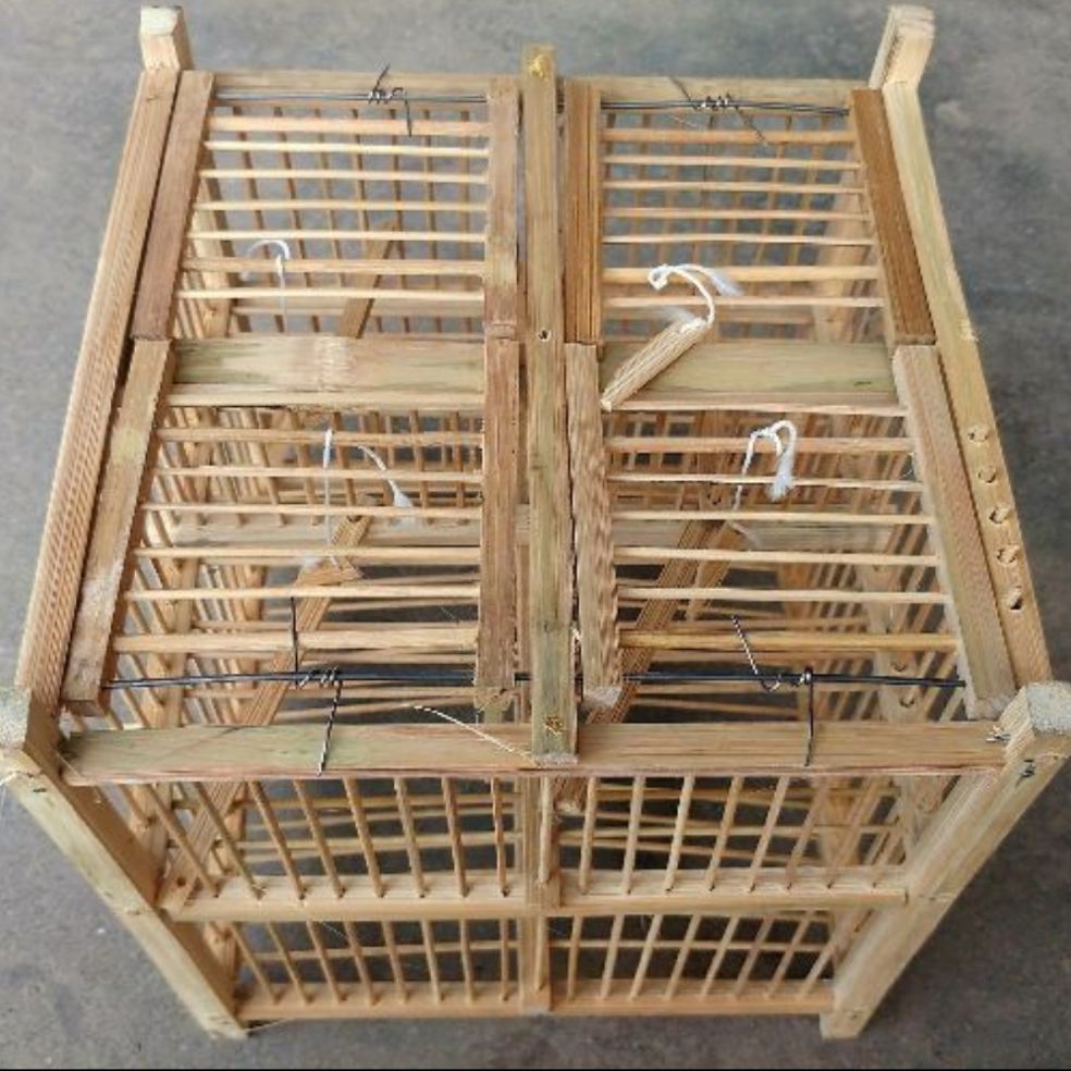 Lồng bẫy chim khuyên