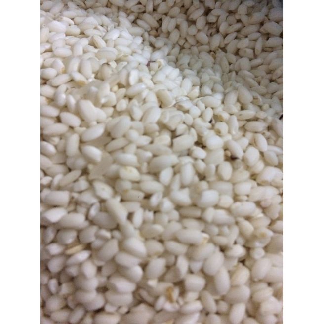 Sỉ toàn quốc 4kg gạo nếp cái hoa vàng