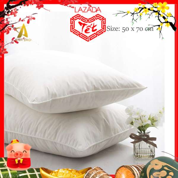 Cặp Gối Hơi cao cấp Ánh Sao 50x70cm