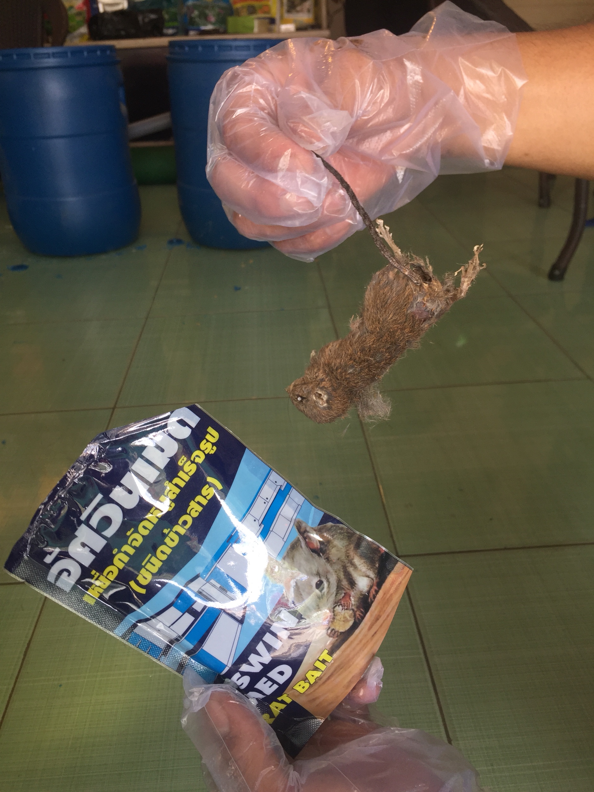 Mồi Diệt Chuột Thái Lan Aswin, gói 100g