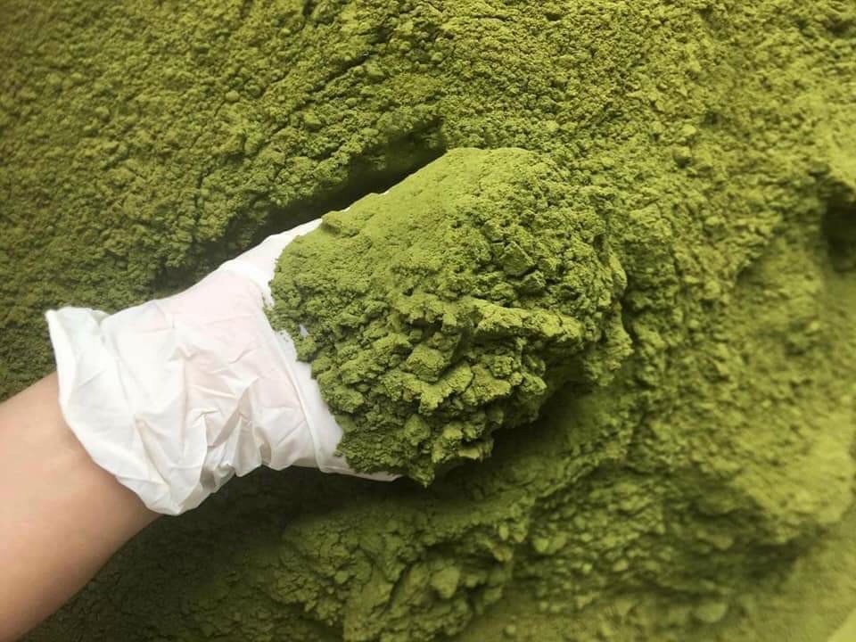 100g bột trà xanh nguyên chất