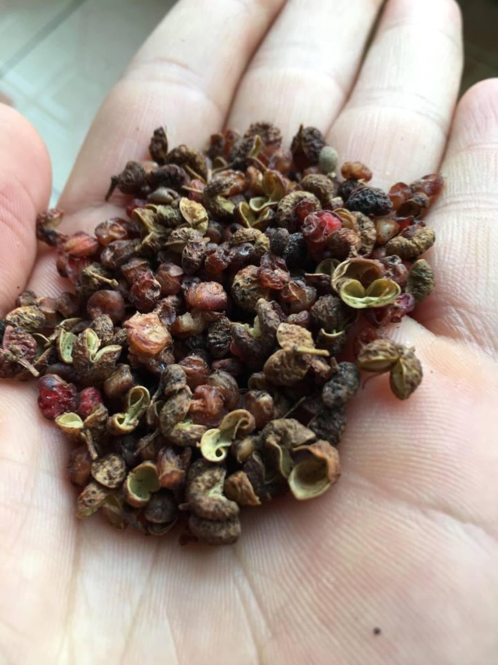Hạt Hoa Tiêu Xanh (Túi 100g)