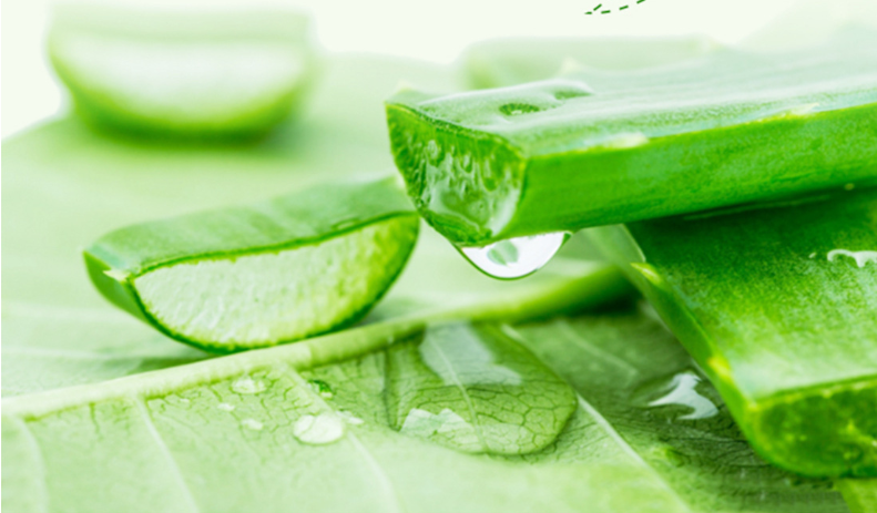 Son Nha Đam Dưỡng Môi ( Có Màu )