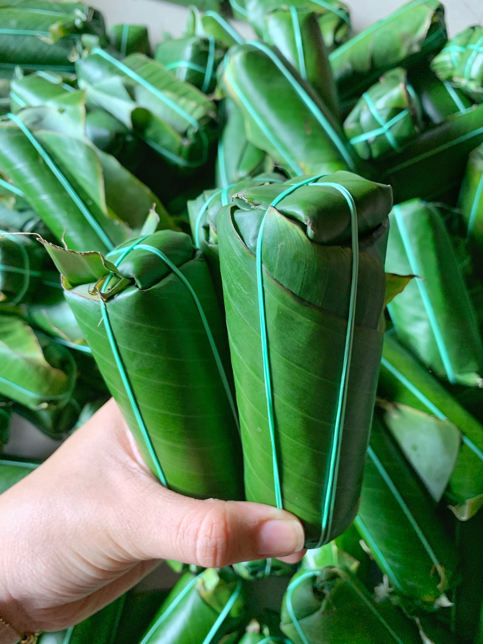 Tré Bình Định (100G) 10 cây