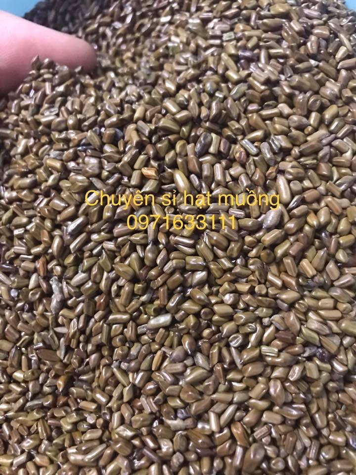 Combo đồ chơi xúc cát hạt muồng mã A2
