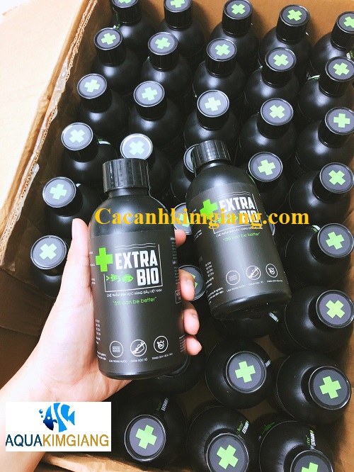 Men vi sinh extra bio cho hồ cá luôn trong sạch