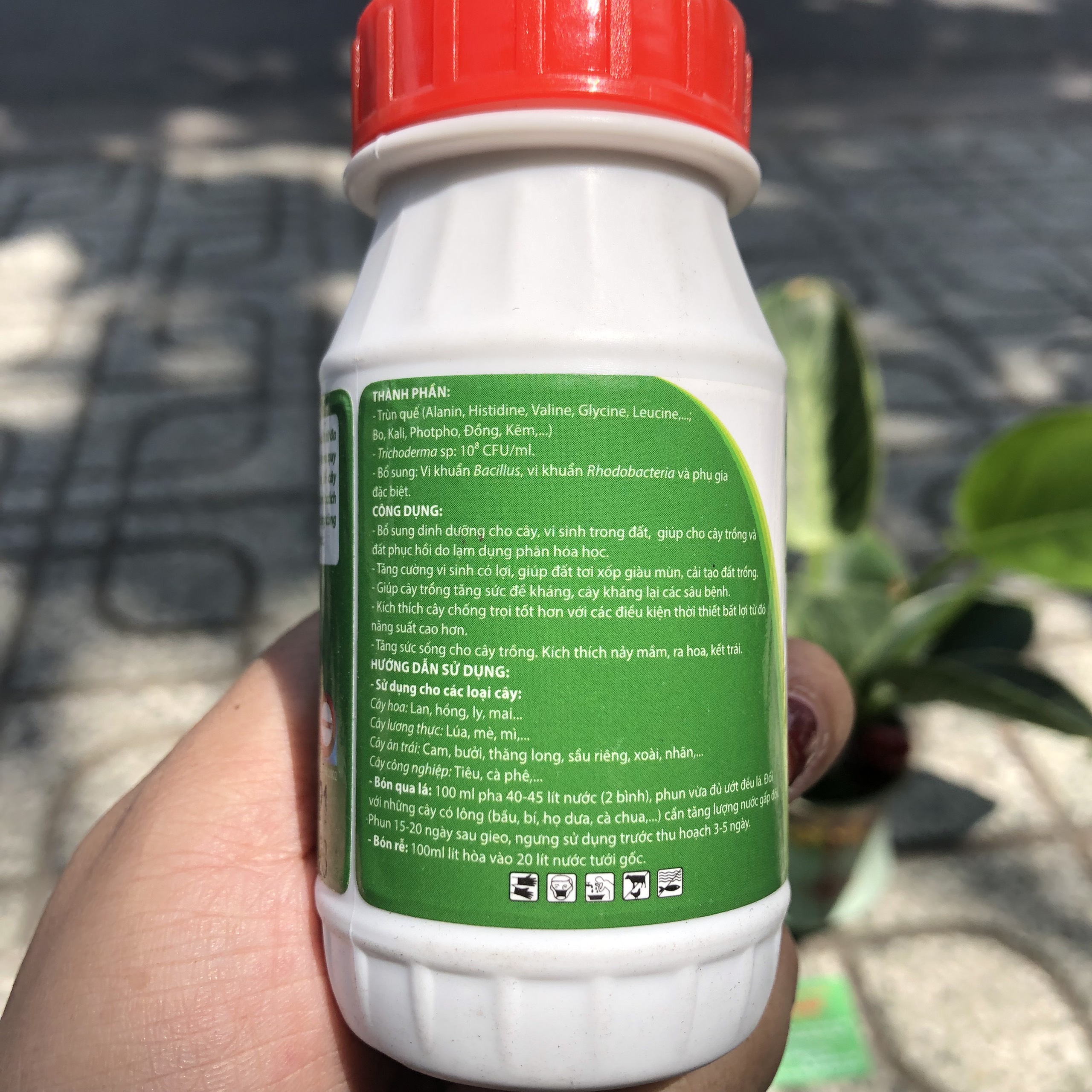 Phân trùn quế thủy phân, dịch trùn quế BIO GREEN đâm chồi mướt lá chai 100ml